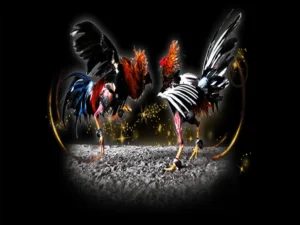 Bí Quyết Chơi Đá Gà Sabong 8US Bất Bại Chinh Phục Mọi Kèo Cược