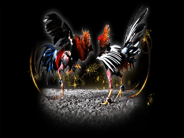 Bí Quyết Chơi Đá Gà Sabong 8US Bất Bại Chinh Phục Mọi Kèo Cược