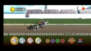 Chinh Phục Trường Đua Cá Cược Đua Ngựa 8US Thắng Lớn