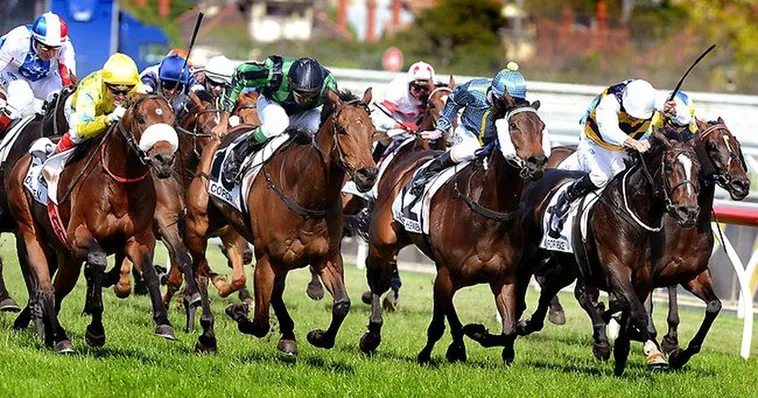 Chinh Phục Trường Đua Cá Cược Đua Ngựa 8US Thắng Lớn 2 Chinh Phục Trường Đua Cá Cược Đua Ngựa 8US Thắng Lớn